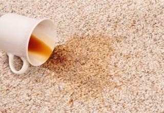 Kirby carpet stain spot